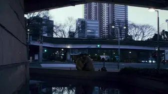 手 日本三级