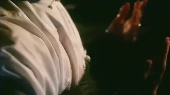 满清禁宫奇案 香港三级